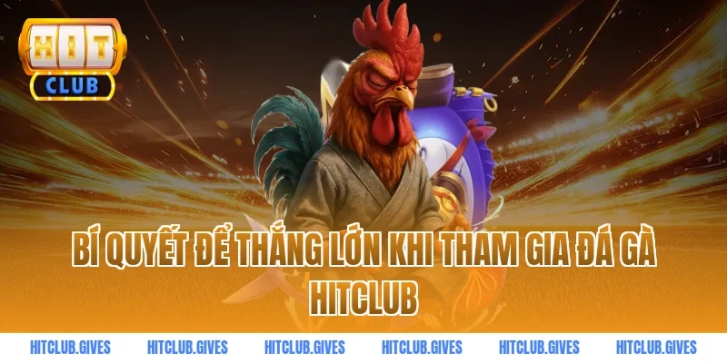 Bí quyết để thắng lớn khi tham gia đá gà HITCLUB