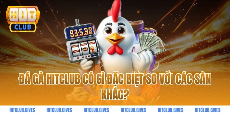 Đá gà HITCLUB có gì đặc biệt so với các sàn khác?