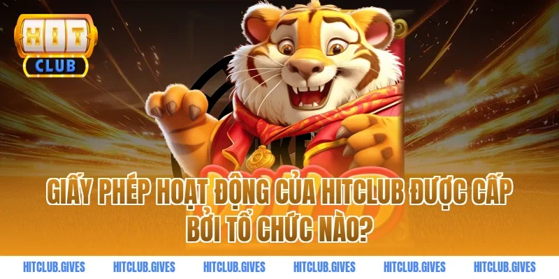 Giấy phép hoạt động của HITCLUB được cấp bởi tổ chức nào?