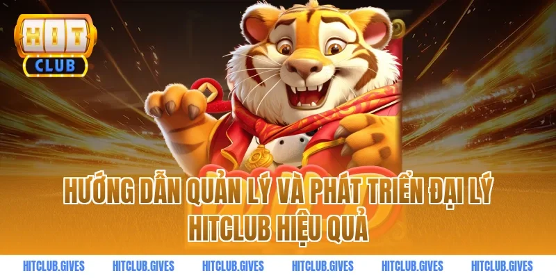 Hướng dẫn quản lý và phát triển đại lý HITCLUB hiệu quả